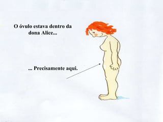 O óvulo estava dentro da
dona Alice...
... Precisamente aqui.
 