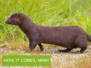 HERE IT COMES, MINK!

 