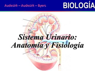 BIOLOGÍA
Sistema Urinario:
Anatomía y Fisiología
Audesirk – Audesirk – Byers
 