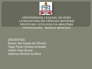 DISCENTES:
Renan Yan Araújo de Oliveira
Tiago Paulo Oliveira Andrade
Valdeir Dias Sousa
Valdiney Moreira da Silva
 