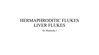 HERMAPHRODITIC FLUKES
LIVER FLUKES
Dr Mudenda J
 