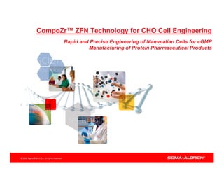 CompoZr™ ZFN Technology for CHO Cell Engineering
       Rapid and Precise Engineering of Mammalian Cells for cGMP
                Manufacturing of Protein Pharmaceutical Products
 