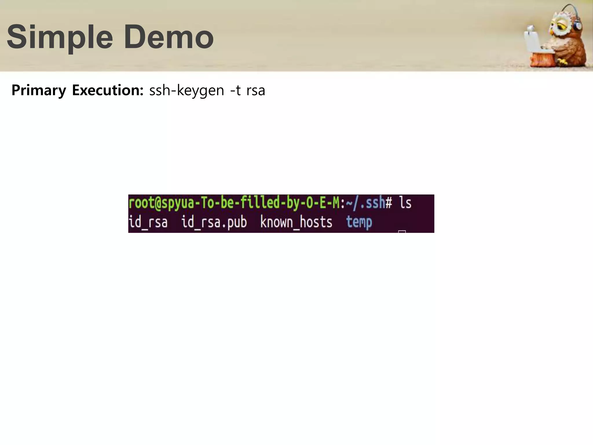 Simple Demo
Primary Execution: ssh-keygen -t rsa
 