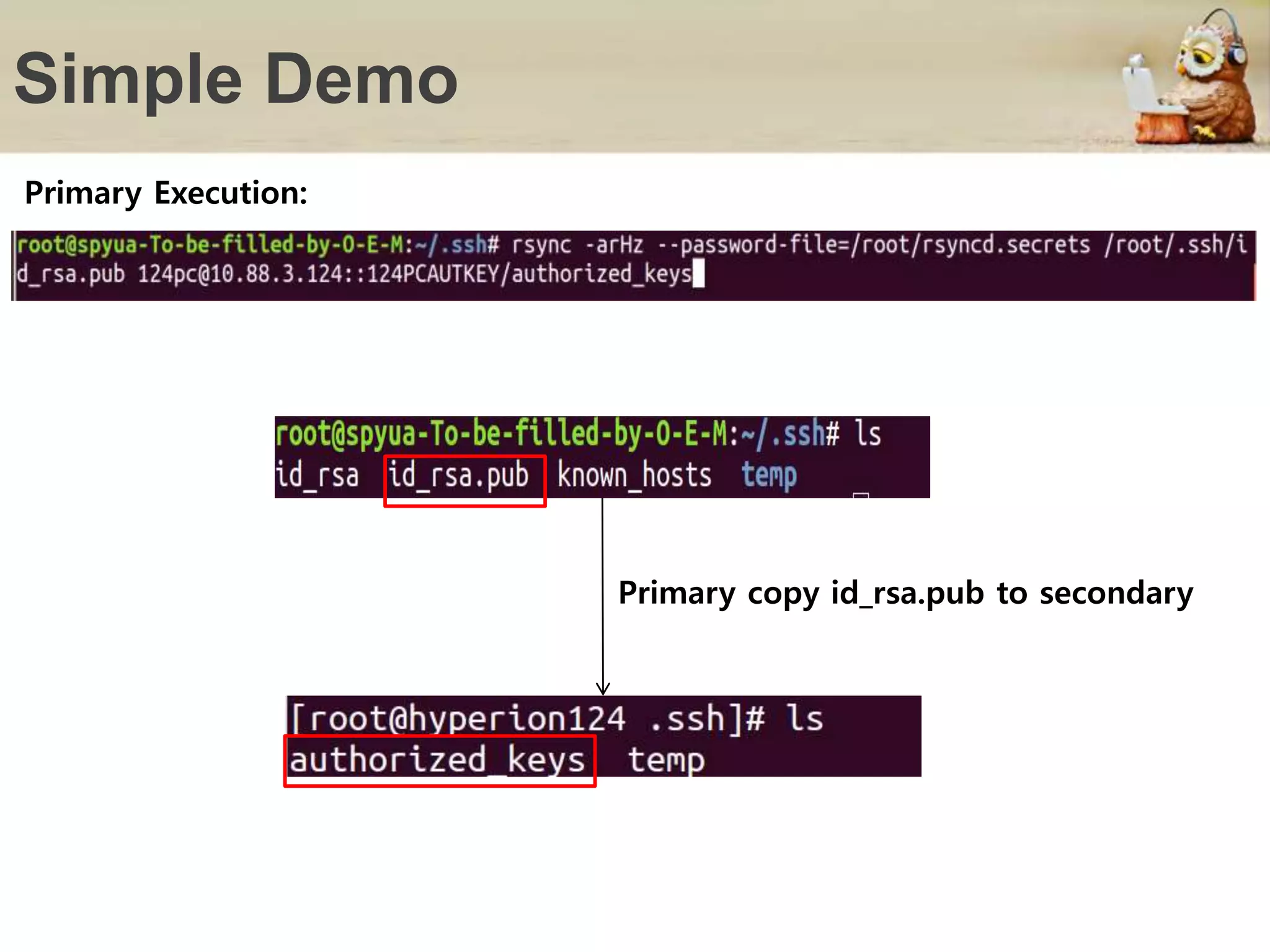 Simple Demo
Primary Execution:
Primary copy id_rsa.pub to secondary
 