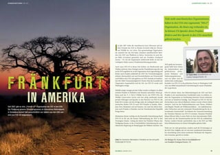 I
m Jahr 2007 riefen die Amerikanerin Joyce Silverman und an-
dere Freunde der ZGF in Florida Grzimek’s Help for Threate-
ned Wildlife Inc. ins Leben. Eine gemeinnützige Organisation,
die zunächst nur das Ziel hatte, einzelnen amerikanischen Spen-
dern der ZGF eine Plattform zu bieten. Inzwischen ist auch die-
ses Baby erwachsen geworden und aus Frankfurt Zoological
Society – US, wie die Organisation mittlerweile heißt, ist eine der
wichtigsten Säulen unserer Projektunterstützung geworden.
Auch wenn FZS-US in ihrem Ziel (Schutz von Biodiversität und
Wildnis weltweit), ihrer Strategie und der Projektförderung sehr eng
an die ZGF angelehnt ist, ist die Organisation doch eigenständig und
fördert auch Projekte außerhalb der ZGF. Die Vorstandsmitglieder
arbeiten ehrenamtlich und sind Persönlichkeiten aus Wissenschaft
und Politik in den USA oder gehören zur ZGF-Zentrale in Frankfurt.
Seit 2012 führt Vorstandsmitglied Dr. Peyton West die Geschäfte der
Organisation hauptamtlich und der Sitz von FZS-US wurde nach
Washington verlegt.
Mithilfe einiger weniger privater Geber wurden zu Beginn vor allem
einzelne Projekte in Simbabwe und Tansania unterstützt. Heute ge-
hören auch der U. S. Fish & Wildlife Service, der WWF USA, die
Wildlife Conservation Society und eine stetig wachsende Anzahl
privater Stiftungen und Spender zu den Partnern von FZS-US. Bis
Ende 2014 werden sich die Erträge mehr als verdoppelt haben und
inzwischen fördert FZS-US auch ZGF-Projekte in Sambia, Äthio-
pien, Peru, Rumänien und auf Sumatra. Im Laufe des Jahres kom-
men noch Projekte in Brasilien und der Demokratischen Republik
Kongo hinzu.
Mindestens ebenso wichtig wie die finanzielle Unterstützung durch
FZS-US ist für uns die bessere Wahrnehmung der ZGF in den
Vereinigten Staaten. Anfang des Jahres hat Präsident Obama eine
Verfügung erlassen, in der er beträchtliche Unterstützung der ame-
rikanischen Regierung im Kampf gegen die Wilderei zusichert. Die
ZGF spielt eine herausra-
gende Rolle beim Schutz
der bedeutendsten und
gefährdetsten afrika-
nische Elefanten- und
Nashornpopulationen
und von daher sind die
mittlerweile erstklassigen
Kontakte von FZS-US in die politischen Kreise in Washington Gold
wert, um Mittel und politische Unterstützung für unsere Projektlän-
der zu gewinnen.
FZS-US arbeitet daran, den Bekanntheitsgrad der ZGF und ihrer
Projekte in der amerikanischen Gesellschaft weiter zu erhöhen, in-
dem die Organisation an hochkarätig besetzten Events teilnimmt
und sich an Initiativen beteiligt. Zum Beispiel ist FZS-US Teil der
Partnership to Save Africa’s Elephants, initiiert von der Clinton Global
Initiative. Auch bei der Podiumsdiskussion zum Thema „Wilderei
und illegaler Handel mit Wildtierprodukten – ein multidimensio-
nales Verbrechen und eine wachsende Herausforderung für die in-
ternationale Gemeinschaft“ im Rahmen der Generalversammlung
der Vereinten Nationen war FZS-US vertreten. Tansanias Präsident
Jakaya Kikwete lobte in seiner Rede vor dem internationalen Publi-
kum nicht nur die Zusammenarbeit mit der ZGF als verlässlichen
Partner, sondern betonte ausdrücklich, dass er die ZGF um Hilfe
beim Elefantenzensus im Selous Schutzgebiet gebeten habe.
Nicht nur wir sind gewachsen, sondern auch die Erwartungen an
die ZGF. Eine Aufgabe, der wir mit einer zunehmend internationa-
len Ausrichtung sowie einem moderaten Wachstum der Organisa-
tion versuchen, gerecht zu werden.
Die Biologin Dr. Peyton West ist Geschäftsführerin
von Frankfurt Zoological Society-US
F R Ä N K F U R T
IN AMERIKA
Links: Der Gonarezhou Nationalpark in Simbabwe war das erste große
Förderprojekt für FZS-US.
Dr. Peyton West, Geschäftsführerin von
Frankfurt Zoological Society-US.
Viele nicht-amerikanischen Organisationeng
haben in den USA eine sogenannte "501c3“g
Organisation, die ihnen eng verbunden ist.g g
So können US-Spender deren Projektep j
fördern und ihre Spende in den USA steuerlichf p
geltend machen.
Seit 2007 gibt es eine „Friends-of“-Organisation der ZGF in den USA.
Die Förderung unseres Schutzprogramms im Gonarezhou Nationalpark
in Simbabwe kommt fast ausschließlich von Gebern aus den USA und
wird von FZS-US beigesteuert.
ZGF GORILLA | AUSGABE 2/2014 1918 ZGF GORILLA | AUSGABE 2/2014
SCHWERPUNKTTHEMA | DIE ZGF SCHWERPUNKTTHEMA | DIE ZGF
 