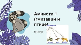 Биологија
Амниоти 1
(гмизавци и
птице)
 
