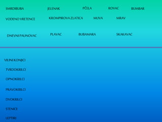 SMRDIBUBA JELENAK PČELA
VODENOVRETENCE KROMPIROVAZLATICA MRAVMUVA
ROVAC
DNEVNIPAUNOVAC PLAVAC BUBAMARA SKAKAVAC
BUMBAR
TVRDOKRILCI
STENICE
PRAVOKRILCI
DVOKRILCI
OPNOKRILCI
LEPTIRI
VILINI KONJICI
 