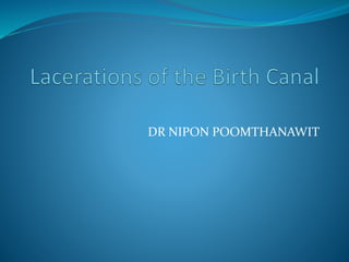 DR NIPON POOMTHANAWIT
 