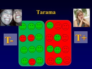 Tarama
T+T-
 