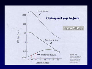 Gestasyonel yaşa bağımlı
Neden MOM ?
 
