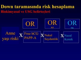 Down taramasında risk hesaplama
Biokimyasal ve USG belirteçleri
Anne
yaşı riski
Free hCG
PAPP-A
x Nukal
Saydamlık
x
OR OR
NT
Nazal
Kemik
x
OR
NK
 