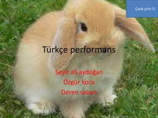 Türkçe performans  Seyit ali aydoğan Özgür koca  Deren saban Çook şirin  