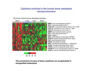 Cytokines enriched in the human bone metastasis
                        microenvironment

58 Human breast cancer metastasis samples
   Bone       Lung      Liver     Brain
                                            BMP2: bone morphogenetic protein 2
                                            IGF2: insulin-like growth factor 2
                                            CLEC11A: C-type lectin domain family 11A; SCGF
                                            CXCL12: chemokine C-X-C motif 12; SDF1
                                            CXCL14: chemokine C-X-C motif 14
                                            GMFG: glia maturation factor, gamma
                                            IGF1: insulin-like growth factor 1
                                            JAG1: jagged 1
                                            NOV: nephroblastoma expressed; IGFBP9
                                            PDGFA: platelet-derived growth factor alpha
                                            PGF: placental growth factor
                                            PXDN: peroxidasin homolog
                                            SPP1: secreted phosphoprotein 1; osteopontin
                                            TGFB1: transforming growth factor, beta 1
                                            TGFB3: transforming growth factor, beta 3
                                            TNFSF10: tumor necrosis factor family 10; TRAIL
                                            VEGFC: vascular endothelial growth factor C



               -2 0 2 4

  The enrichment of many of these cytokines are recapitulated in
  xenografted metastases.
 