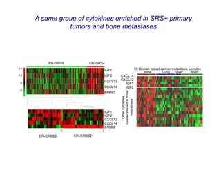 A same group of cytokines enriched in SRS+ primary
               tumors and bone metastases




           ER-/SRS+          ER-/SRS+
+4                                                                   58 Human breast cancer metastasis samples
                                    IGF1
                                                                          Bone        Lung    Liver     Brain
+2                                  IGF2     CXCL14
                                    CXCL12   CXCL12
0                                              IGF1
                                    CXCL14     IGF2
-2




                                             overexpressed in bone
                                    ERBB2




                                                Other cytokines

                                                  metastases
                                    IGF1
                                    IGF2
                                    CXCL12
                                    CXCL14
                                    ERBB2

      ER-/ERBB2-      ER-/ERBB2+
 