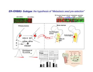 ER-/ERBB2- Subtype: the hypothesis of “Metastasis seed pre-selection”
                                                    58 Human breast cancer metastasis samples
       ER-/SRS+       ER-/SRS+                           Bone        Lung    Liver     Brain




          Primary tumors                              Bone marrow



                                          Survival upon
                                          arrival
            v                                                    Colonization

                CXCL12 IGF1
                                                          CXCL12
      A                                                   IGF1
                CXCR4 IGF1R
      B
             Src
      C            PI3K/AKT
      …
                Enrichment of
                                                                           Bone marrow survival factors
                Src activity
                                                                               IGF1 CXCL12          TRAIL

                                                                             IGF1R      CXCR4        DR4/5

                                                                                            Src
                                                                   .
                                                                       .
                                     *          *
                                                                   .                     Survival
                                 *    *         *                      .
                                                                       .
                                                                       .
                                 *    *
                                                                                SRS+ breast cancer cell
 
