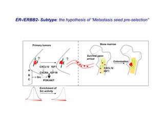 ER-/ERBB2- Subtype: the hypothesis of “Metastasis seed pre-selection”




          Primary tumors                      Bone marrow



                                    Survival upon
                ?               ?   arrival
            v                                            Colonization

                CXCL12 IGF1
                                                    CXCL12
      A                                             IGF1
                CXCR4 IGF1R
      B
             Src
      C             PI3K/AKT
      …
                Enrichment of
                Src activity
 