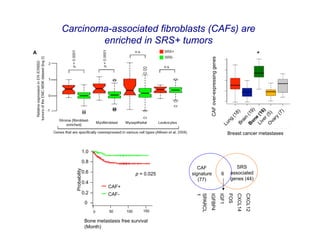 Carcinoma-associated fibroblasts (CAFs) are
        enriched in SRS+ tumors
                                                                                                                            *




                                                                 CAF over-expressing genes
                                                                                                    Breast cancer metastases


                 1.0

                 0.8
                                                          CAF                                           SRS
   Probability




                 0.6                       p = 0.025   signature                              6      associated
                                                          (77)                                       genes (44)
                 0.4
                            CAF+
                 0.2        CAF-                        1
                                                        SPARCL
                                                                 IGFBP4
                                                                                             IGF1
                                                                                                    FOS
                                                                                                          CXCL14
                                                                                                                   CXCL12
                  0
                       0     50      100      150

                  Bone metastasis free survival
                  (Month)
 
