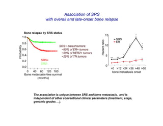 Association of SRS
                               with overall and late-onset bone relapse


               Bone relapse by SRS status
                                                                                      15                         *
              1.0
                                                                                                 SRS




                                                                       Hazard ratio
                                                                                                 ER
              0.8                                                                                           **       *
                                         SRS+ breast tumors:                          10
Probability




              0.6                         ~90% of ER+ tumors
                                          ~50% of HER2+ tumors
              0.4                         ~25% of TN tumors                           5                **
                                                                                           ***   ***
              0.2          SRS+
                           SRS-
              0.0                                                                     0
                                                                                           >0 >12 >24 >36 >48 >60
                0    40 80 120 160                                                          bone metastasis onset
               Bone metastasis-free survival
                        (months)




                      The association is unique between SRS and bone metastasis, and is
                      independent of other conventional clinical parameters (treatment, stage,
                      genomic grades …).
 
