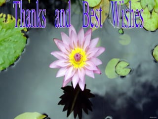 Thanks  and  Best  Wishes 
