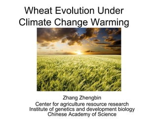 Wheat Evolution Under
Climate Change Warming




                  Zhang Zhengbin
     Center for agriculture resource research
  Institute of genetics and development biology
           Chinese Academy of Science
 