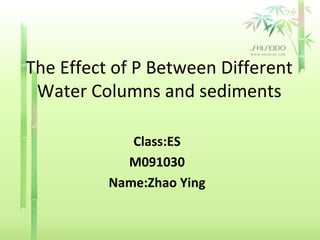 The Effect of P Between Different Water Columns and sediments Class:ES M091030 Name:Zhao Ying 