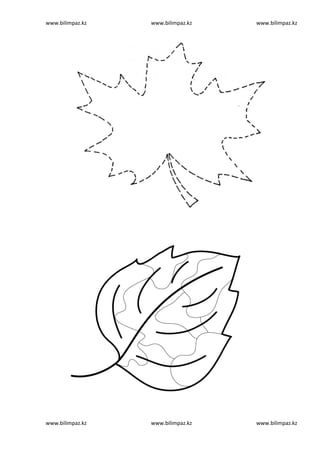 www.bilimpaz.kz www.bilimpaz.kz www.bilimpaz.kz
www.bilimpaz.kz www.bilimpaz.kz www.bilimpaz.kz
 