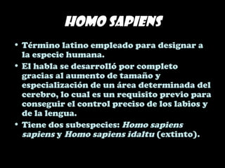 Homo sapiens
• Término latino empleado para designar a
la especie humana.
• El habla se desarrolló por completo
gracias al aumento de tamaño y
especialización de un área determinada del
cerebro, lo cual es un requisito previo para
conseguir el control preciso de los labios y
de la lengua.
• Tiene dos subespecies: Homo sapiens
sapiens y Homo sapiens idaltu (extinto).
 