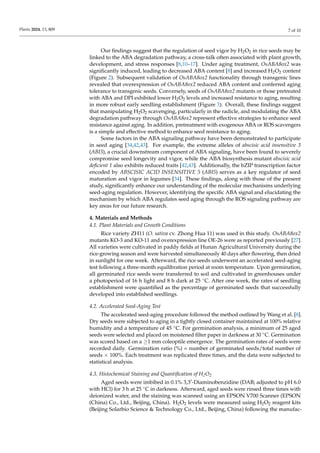 ABA Inhibits Rice Seed Aging by Reducing | PDF