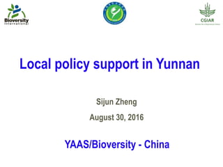 Local policy support in Yunnan
Sijun Zheng
August 30, 2016
YAAS/Bioversity - China
 