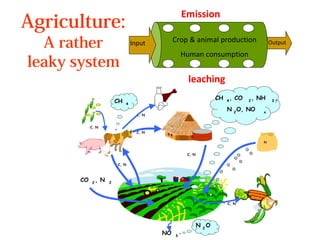 Pursuing Sustainable Productivity with Millions of Smallholder Farmers