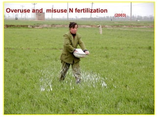 Pursuing Sustainable Productivity with Millions of Smallholder Farmers