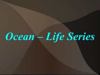 Ocean – Life Series

 