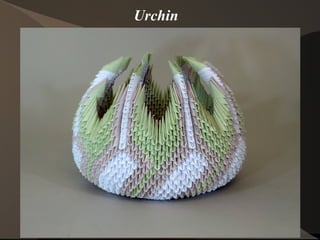 Urchin

 
