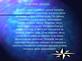 МОРСКИЕ ЗВЕЗДЫ.

   Во всех морях и океанах нашей планеты
 обитают морские животные, которых люди
  называют морскими звездами. По своему
    строению они и вправду напоминают
    пятиконечную звезду. Морских звезд
   насчитывается около 500 видов.Как и у
   морских ежей , у звезд рот находится на
  нижней стороне тела. Лучи морских звезд
   очень подвижны, на каждом луче снизу
  расположены присоски. Морские звезды –
 хищники.Они охотно поедают моллюсков и
поэтому считаются злейшими врагами устриц,
         которых люди выращивают.
 