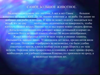 САМОЕ БОЛЬШОЕ ЖИВОТНОЕ.
    Вы,конечно,подумали ,что это слон. А вот и нет.Самое     большое
животное на земле – КИТ. Да, да, именно животное ,а не рыба. Он дышит не
 жабрами ,как рыба , а легкими. И хотя он может подолгу находиться под
 водой, все же ему       необходимо подниматься на поверхность, чтобы
 вдохнуть свежий воздух.Именно тогда над морем можно увидеть фонтан.
     Киты-млекопитающие,они рождают живых детенышей и кормят их
    молоком.Всего на нашей планете обитает 86 видов китообразных.
        Живут китообразные почти во всех морях и океанах планеты.
  Оказывается, давным-давно, 70 миллионов лет назад, предки китов жили
      на суше. Потом они перебрались на мелководье, где было удобно
     спасаться от врагов, а после вообще ушли в море.Шерсть с их тела
  исчезла. Передние лапы превратились в плавники, а хвост принял форму,
   необходимую для удобного плавания.Конечно,это произошло не сразу, а
                        за несколько миллионов лет.
 