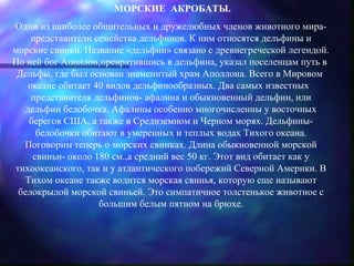 МОРСКИЕ АКРОБАТЫ.
Одни из наиболее общительных и дружелюбных членов животного мира-
    представители семейства дельфинов. К ним относятся дельфины и
морские свиньи. Название «дельфин» связано с древнегреческой легендой.
По ней бог Аполлон,превратившись в дельфина, указал поселенцам путь в
 Дельфы, где был основан знаменитый храм Аполлона. Всего в Мировом
   океане обитает 40 видов дельфинообразных. Два самых известных
    представителя дельфинов- афалина и обыкновенный дельфин, или
  дельфин белобочка. Афалины особенно многочисленны у восточных
   берегов США, а также в Средиземном и Черном морях. Дельфины-
     белобочки обитают в умеренных и теплых водах Тихого океана.
  Поговорим теперь о морских свинках. Длина обыкновенной морской
    свиньи- около 180 см.,а средний вес 50 кг. Этот вид обитает как у
тихоокеанского, так и у атлантического побережий Северной Америки. В
  Тихом океане также водится морская свинья, которую еще называют
 белокрылой морской свиньей. Это симпатичное толстенькое животное с
                   большим белым пятном на брюхе.
 