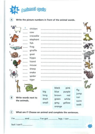 241173720 fun-for-starters-cambridge