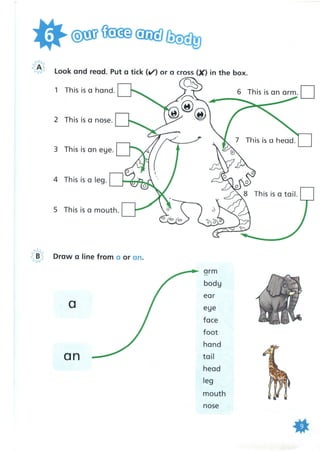 241173720 fun-for-starters-cambridge