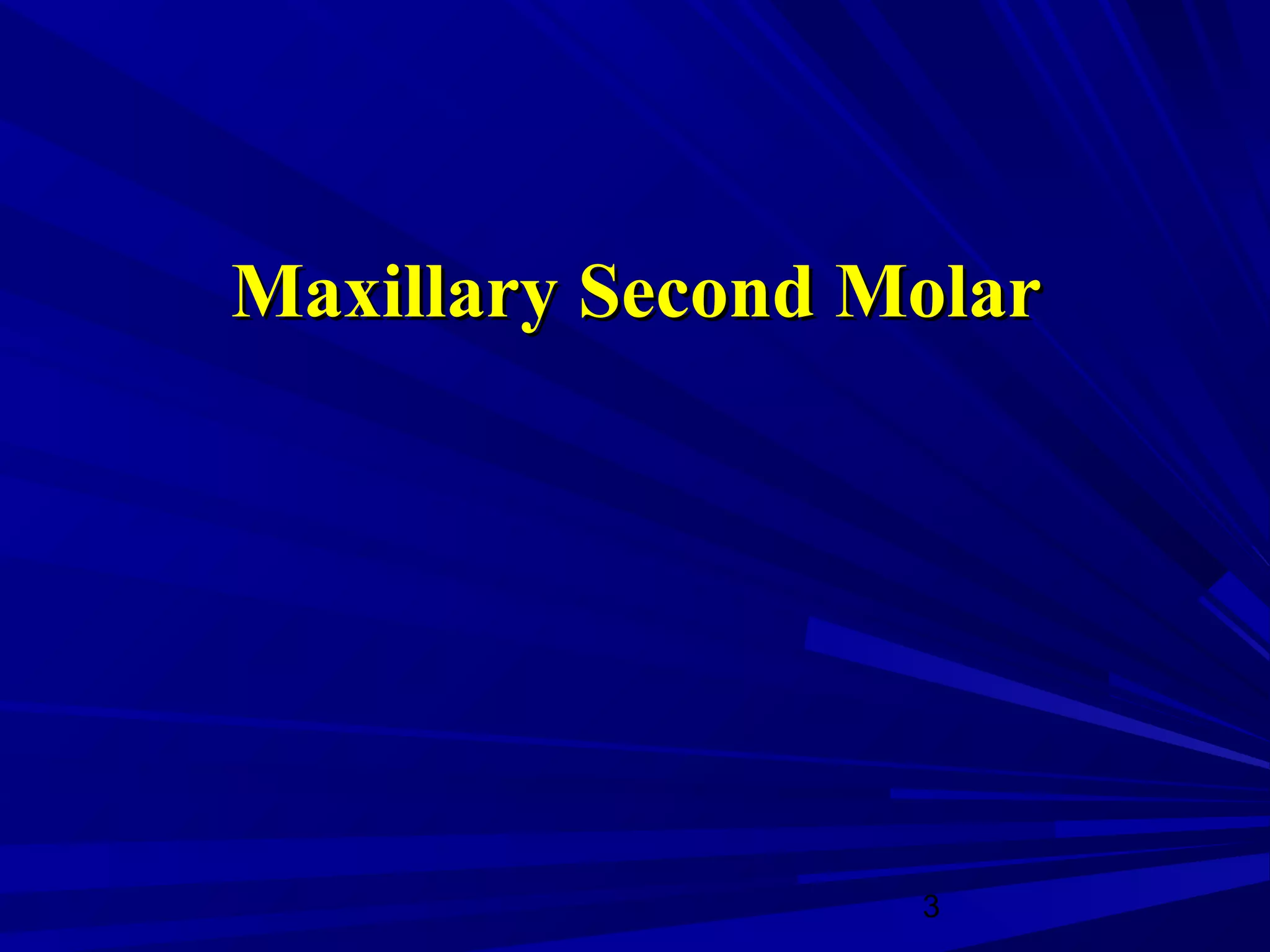 Maxillary second and third molars | PPT