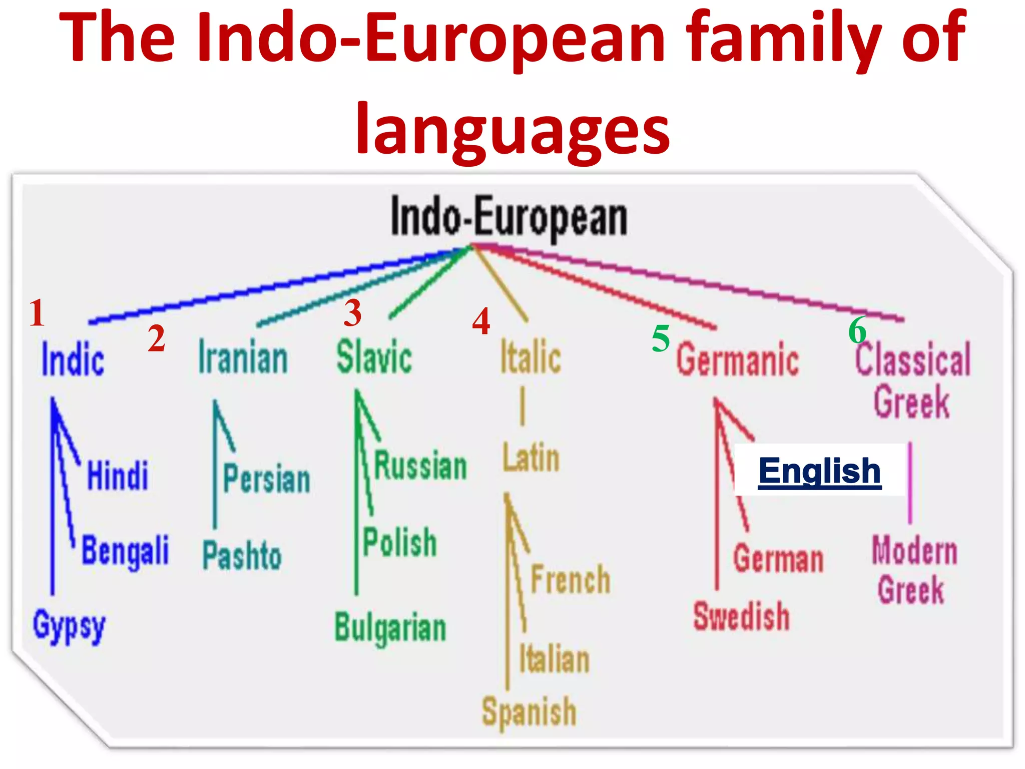 The Indo-European family of
languages
1
2
3 4 5 6
 