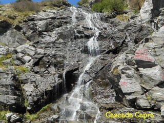 Cascada Capra
 