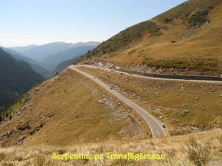 Serpentine pe Transfãgãrasan
 