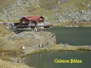Cabana Bâlea
 