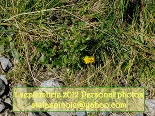 1 septembrie 2012 Personal photos
     stelaspinoie@yahoo.com
 