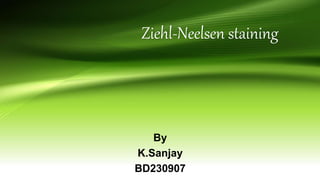 Ziehl-Neelsen staining
By
K.Sanjay
BD230907
 