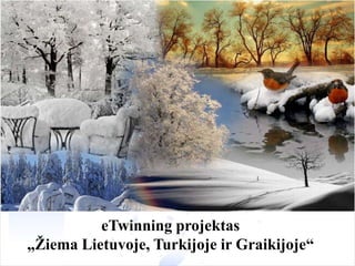 eTwinning projektas
„Žiema Lietuvoje, Turkijoje ir Graikijoje“

 