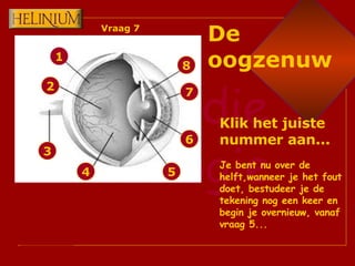 1 2 3 4 6 7 8 5 Klik het juiste nummer aan... Je bent nu over de helft,wanneer je het fout doet, bestudeer je de tekening nog een keer en begin je overnieuw, vanaf vraag 5... De oogzenuw Vraag 7 