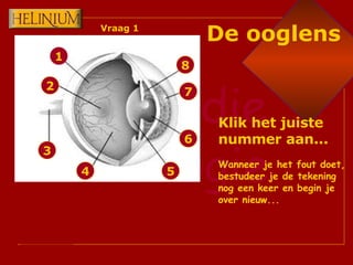 1 2 3 4 6 7 8 5 Klik het juiste nummer aan... Wanneer je het fout doet, bestudeer je de tekening nog een keer en begin je over nieuw... De ooglens Vraag 1 