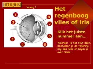 1 2 3 4 6 7 8 5 Klik het juiste nummer aan... Wanneer je het fout doet, bestudeer je de tekening nog een keer en begin je over nieuw... Het regenboogvlies of iris Vraag 2 