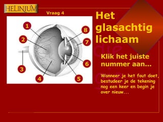 1 2 3 4 6 7 8 5 Klik het juiste nummer aan... Wanneer je het fout doet, bestudeer je de tekening nog een keer en begin je over nieuw... Het glasachtig lichaam Vraag 4 